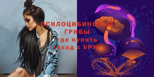 крисы Алексеевка