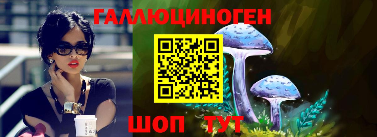 Березники  Псилоцибиновые грибы MAGIC MUSHROOMS  Вход с VPN 